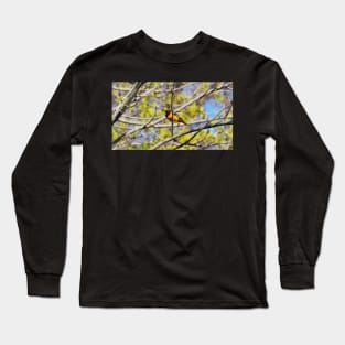 Baltimore Oriole Perched On A Tree Branch Long Sleeve T-Shirt
